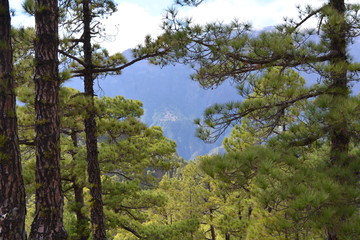 Caldera de Taburiente in La Palma, Canary islands, Spain.
