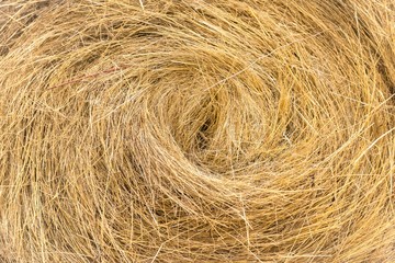 Hay bails on the field
