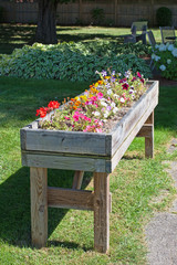 Fototapeta na wymiar Large planters box with flowers