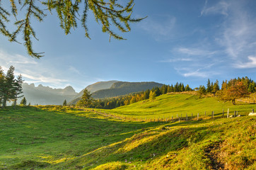 Alpine Meadow Planina Uskovnica in Bohinj