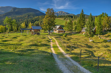 Alpine Meadow Planina Uskovnica in Bohinj