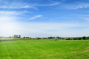 Fototapeta na wymiar field with green grass