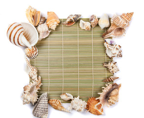 seashells frame of seashells on a white background