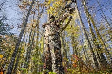 Fotobehang bow hunter aiming © geilfuss