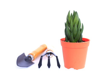 Gardening Series - Stock Image