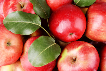 Ripe red apples close up