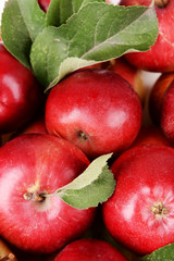 Ripe red apples close up