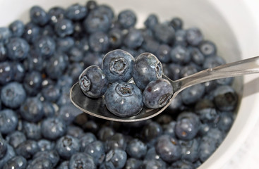 Ripe organic Blueberries - a healthy and nutritious snack