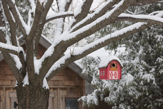 Red Barn Birdhouse On Tree In Winter