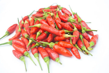 The Red Chili