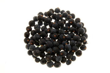 Juniper Berries