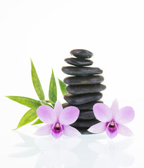 Black zen stones with Dendrobium orchids and green leaves