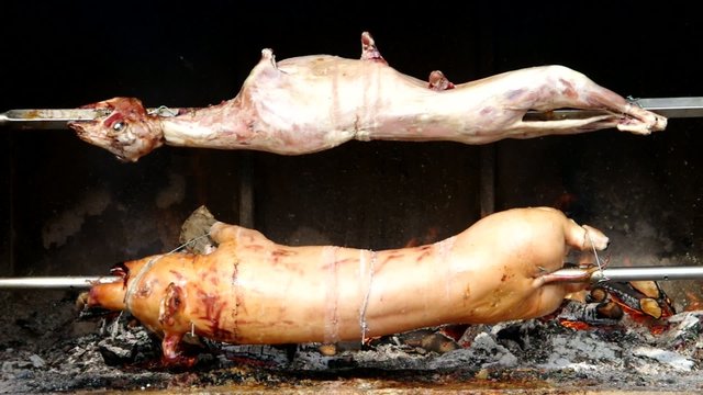 Spanferkel und Lamm vid 01