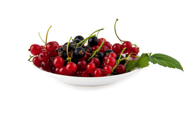 currant in a dish