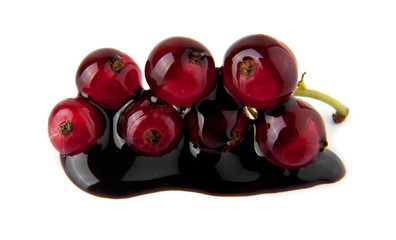 currant in chocolate