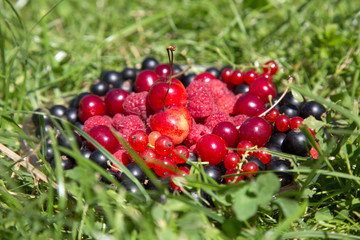 cherry currants raspberries in a glass dish on a green grass