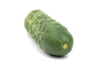 green cucumber on white background
