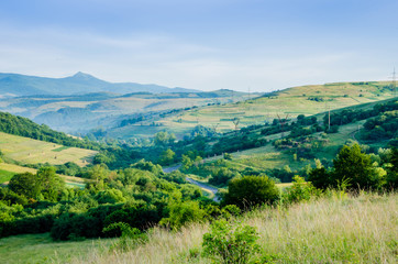 Fototapeta premium in the green mountains