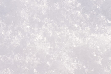 Real snow for the background