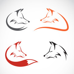 Vector of a fox design on white background. Animals. 