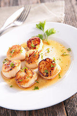 scallop