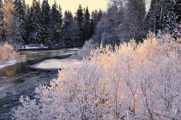 River in winter and tree branches coverred with white frost
