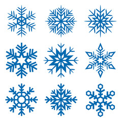 Fototapeta premium Snowflakes