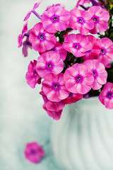 Summer bouquet, pink phlox in vase