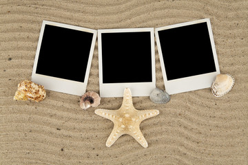 pictures with cockleshells