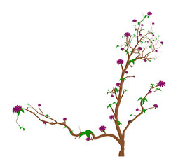 Dead Tree Flowers Branches