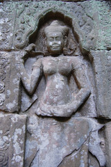 Fototapeta na wymiar Apsara at Ta Prohm Temple at Angkor in Siem Reap Cambodia