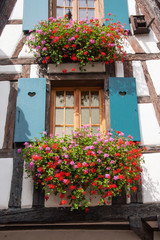 Fototapeta na wymiar Maisons à colombages à Kaysersberg, Haut Rhin, Alsace
