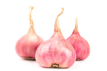 Fresh shallot