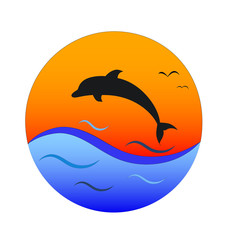 dolphin3