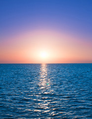 Where the Sunlight Meets the Sea