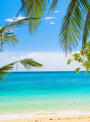 Obraz na płótnie Canvas Idyllic Coast Coconut Getaway