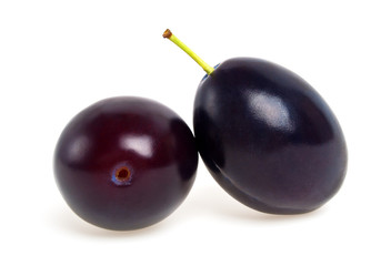 Two plums on a white background