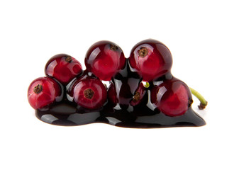 currant in a chocolate