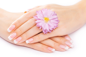 Obraz na płótnie Canvas french manicure with chrysanthemum