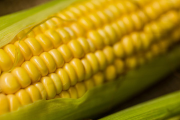 Ears of fresh corn. Close up of sweet corn