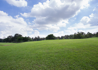 lawn of golf course, green grass field in the park
