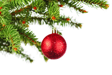 Naklejka na ściany i meble Christmas tree branch with ball