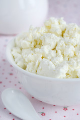 Fresh homemade cottage cheese