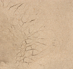 sand surface
