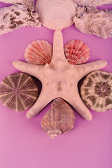 Sea souvenirs on pink background