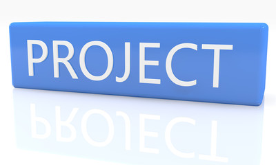 Project