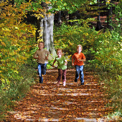 Kinderabenteuer im leuchtenden Herbstwald - 72732333