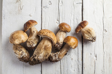 Mushroom boletus over wooden table