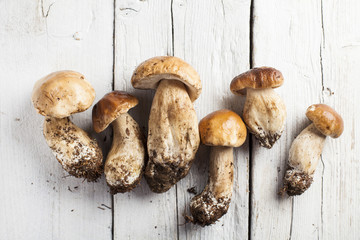 Mushroom boletus over wooden table