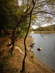 Montseny